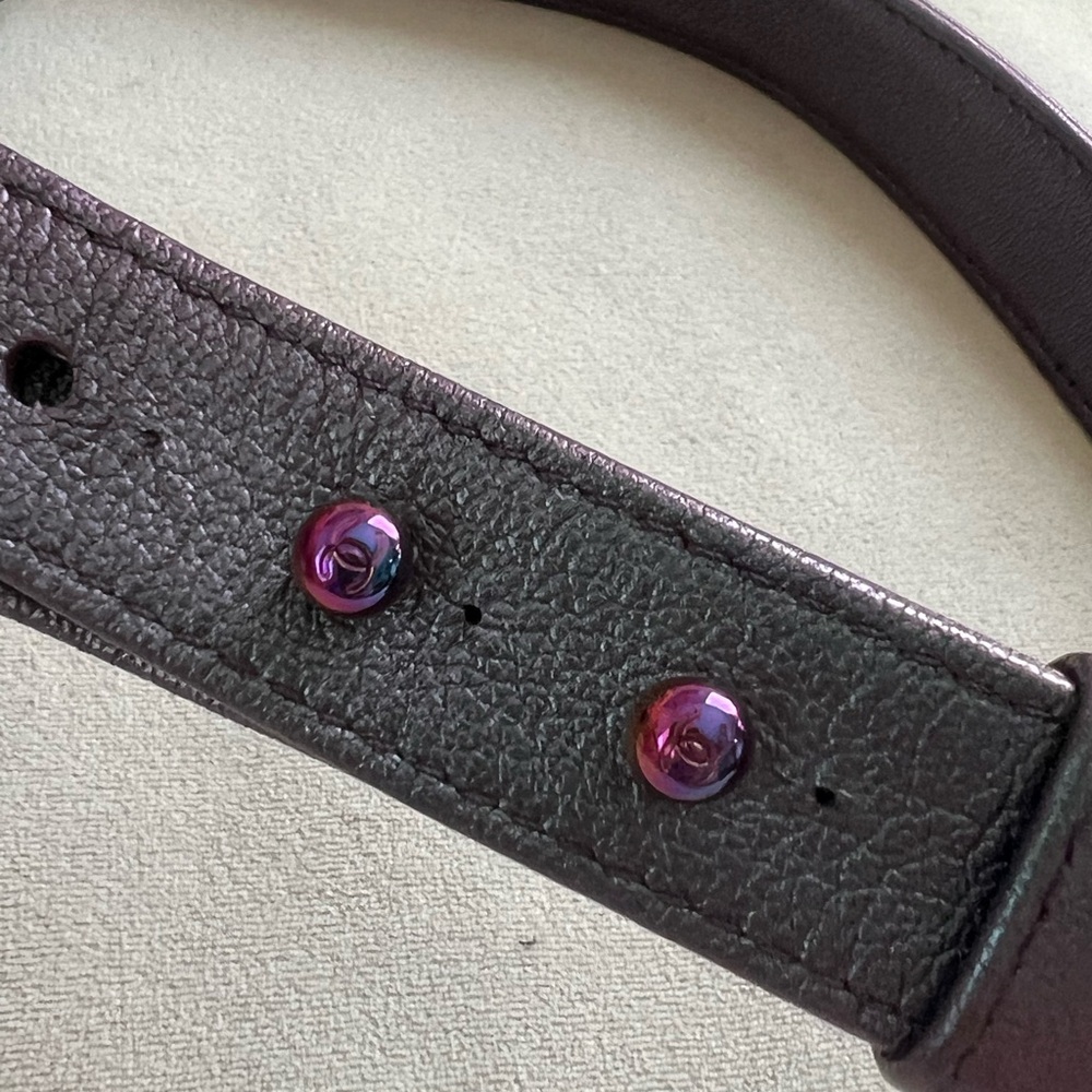 ✨🧜‍♀️ Chanel iridescent Double Carry Waist, Crossbody Flap Bag ✨🧜‍♀️ - Picture 11 of 16